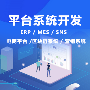 平台系统开发