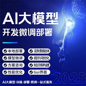 AI大模型开发